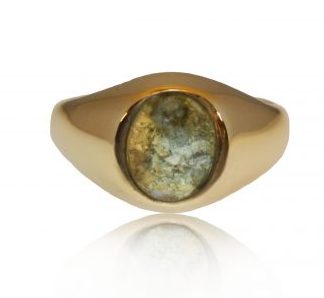 Small classic ashes signet ring in gold